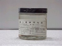 藏品(短角單棘魨)的圖片